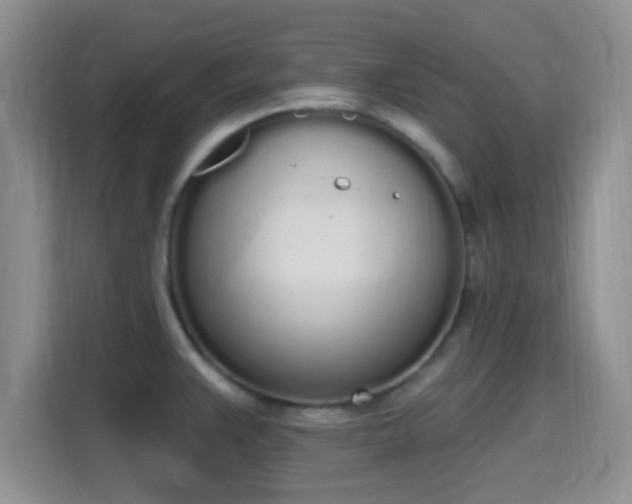 X0000115711383200911191241