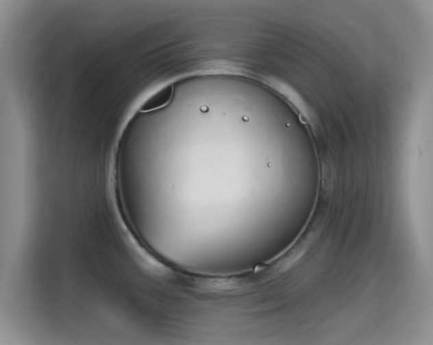 X0000115711387200911191241