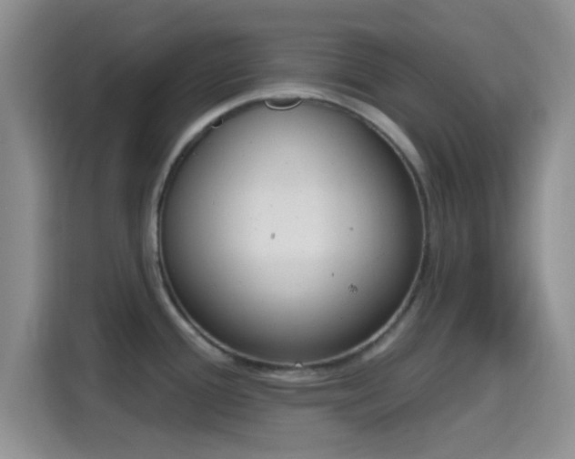 X0000115711388200911191241