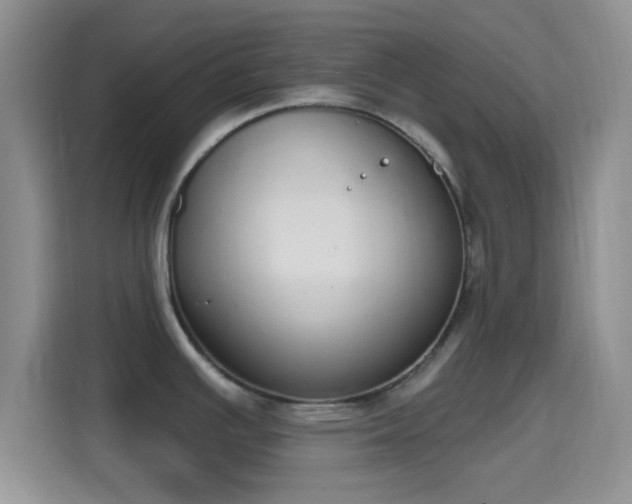 X0000115711391200911191241