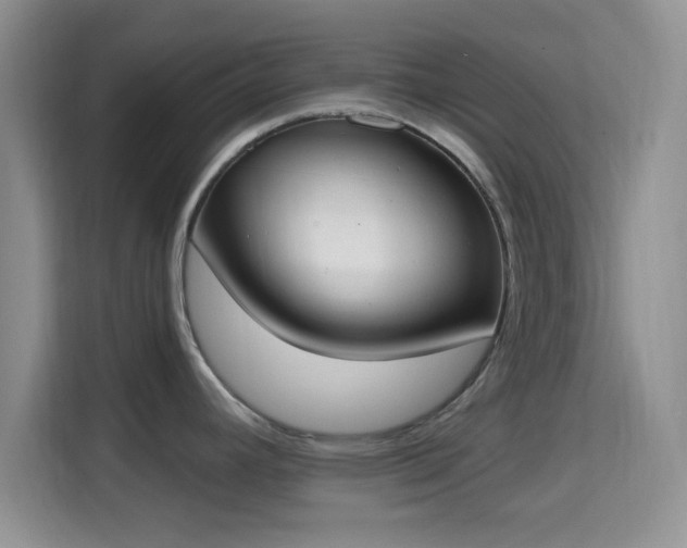 X0000115711392200911191241