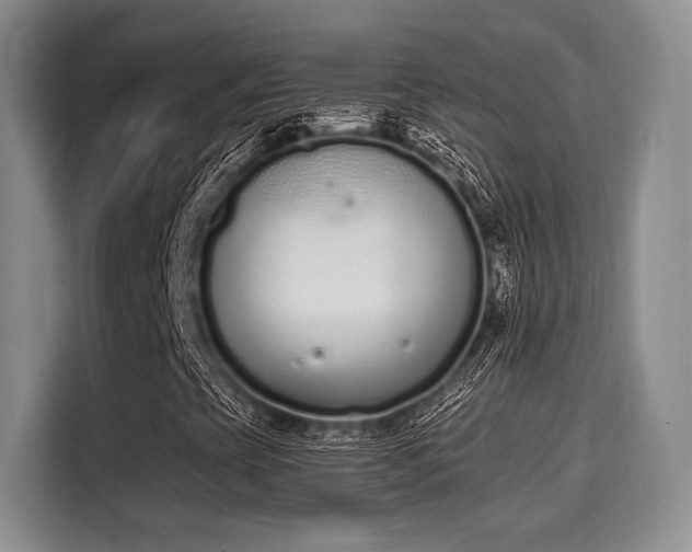 X0000115711393200911191240