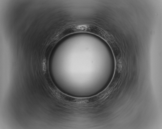 X0000115711394200911191240