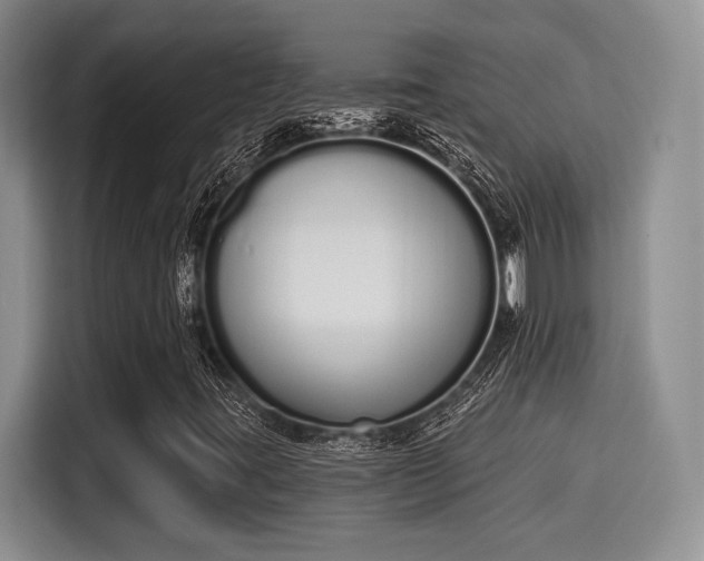 X0000115711395200911191240