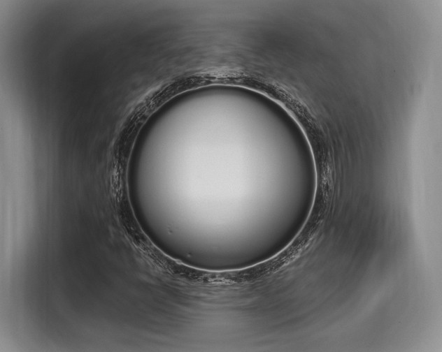 X0000115711398200911191240