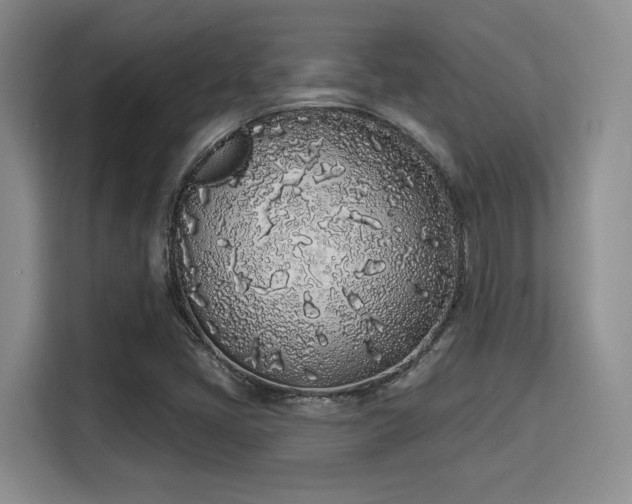 X0000115711405200911191240