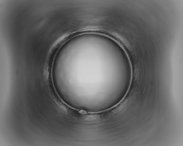 X0000115711406200911191240