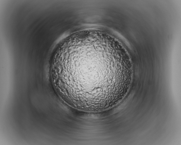 X0000115711411200911191240