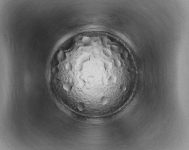 X0000115711413200911191240