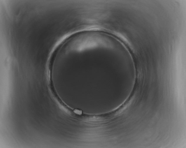 X0000115711414200911191240