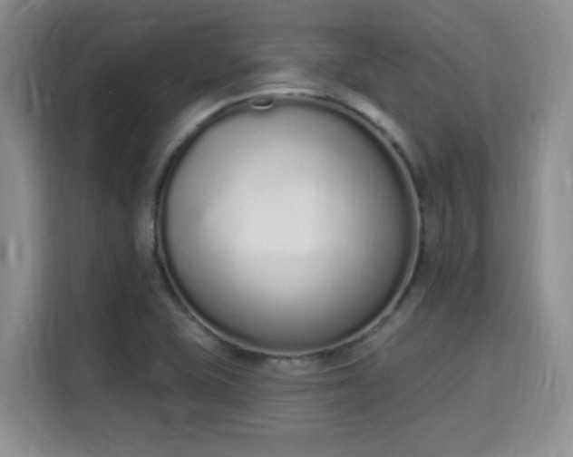 X0000115711415200911191240