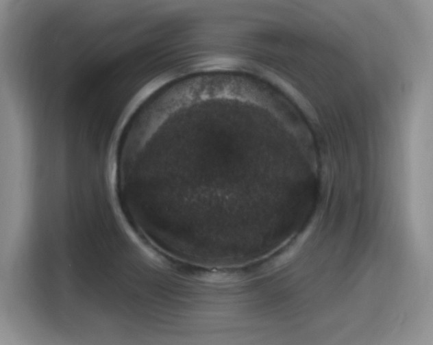 X0000115711418200911191240