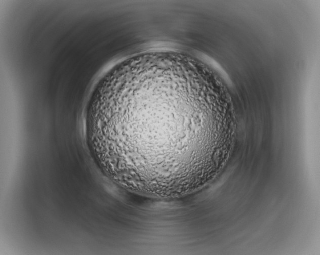 X0000115711419200911191240