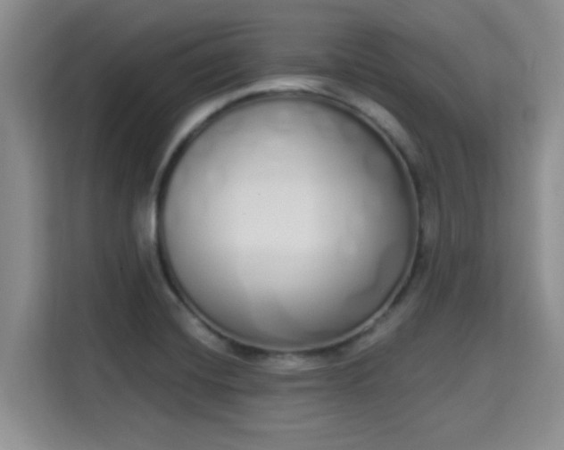 X0000115711420200911191240