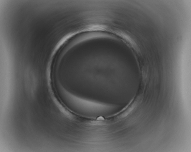 X0000115711422200911191240