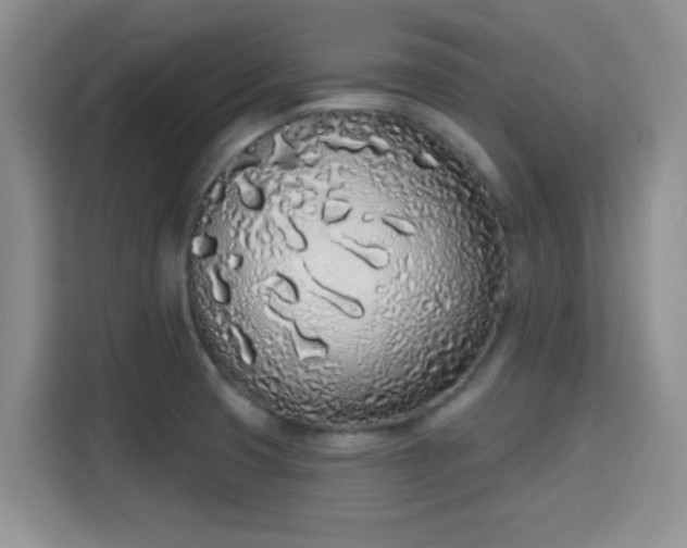 X0000115711425200911191240