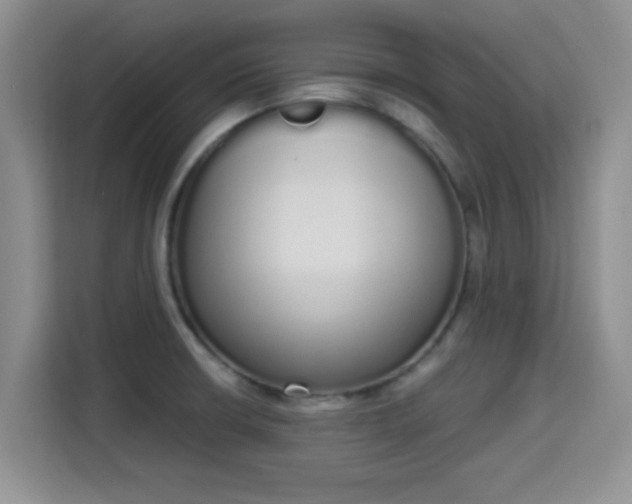 X0000115711426200911191240