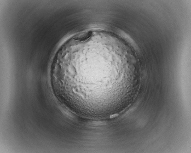 X0000115711427200911191240