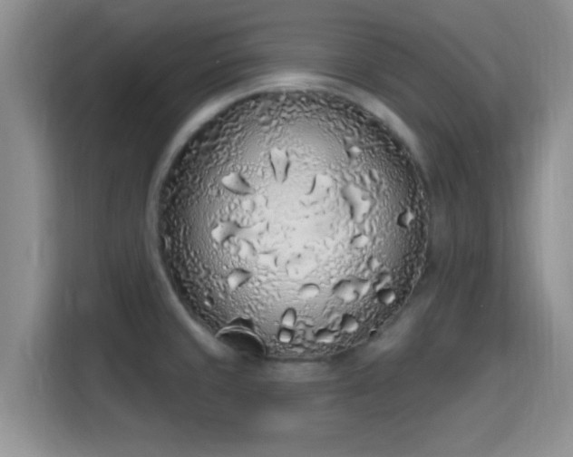 X0000115711429200911191240