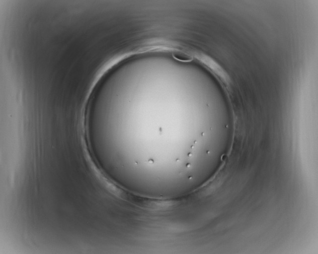 X0000115711431200911191240