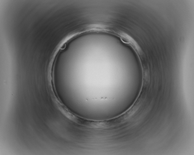 X0000115711435200911191240