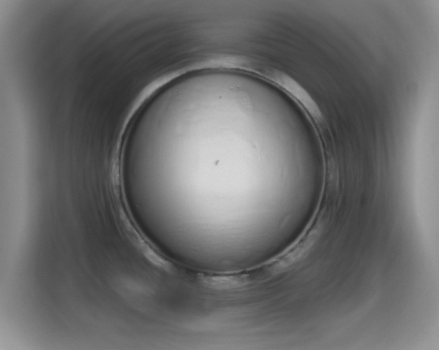 X0000115711436200911191240