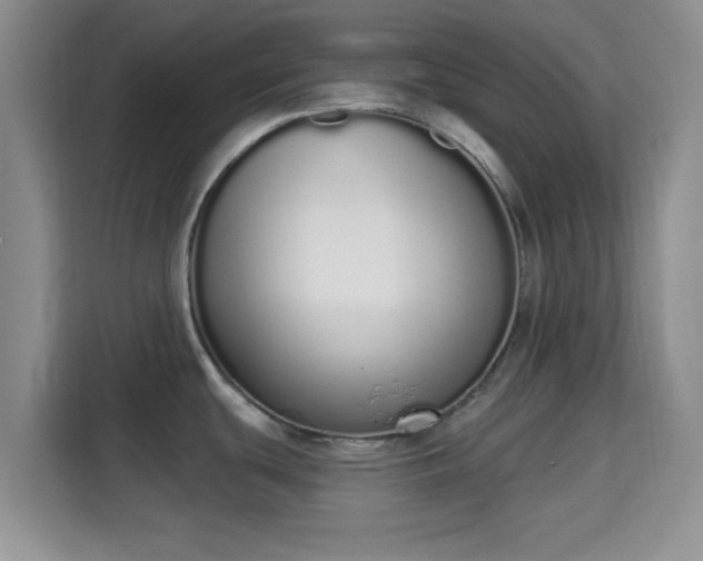 X0000115711439200911191240