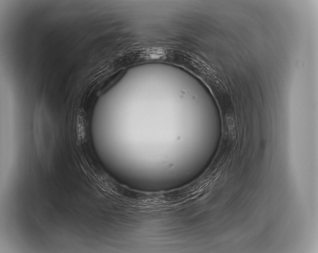 X0000115711442200911191240