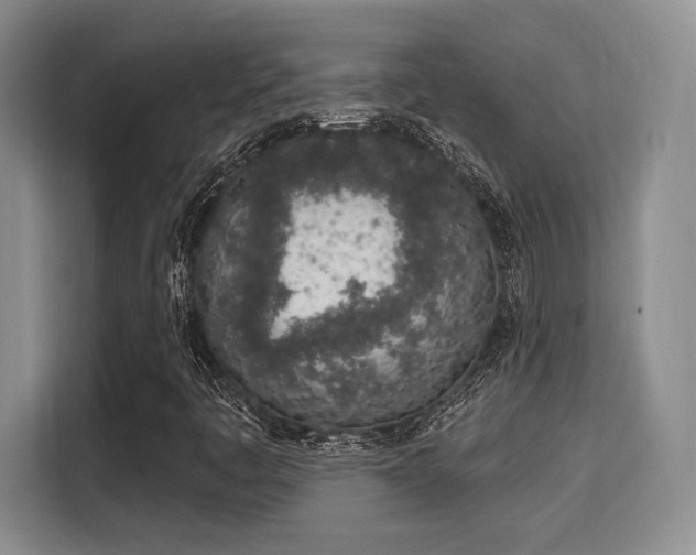 X0000115711445200911191240