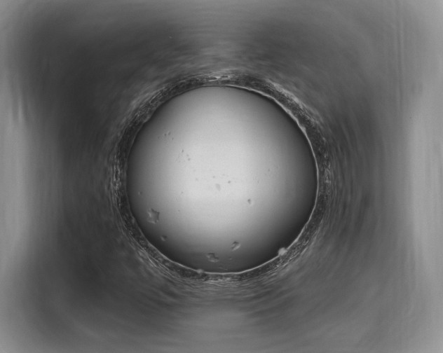 X0000115711447200911191240