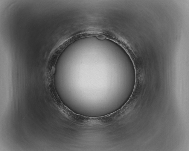 X0000115711448200911191240