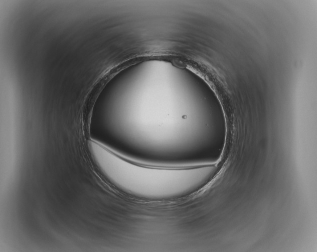 X0000115711449200911191240