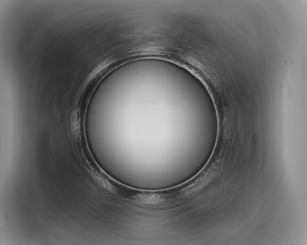 X0000115711450200911191240