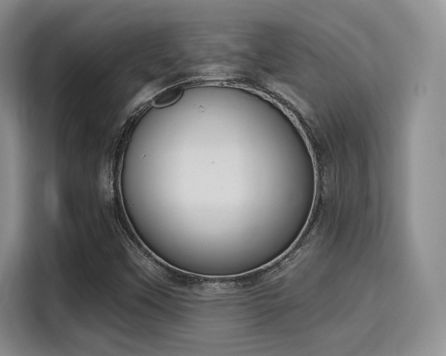 X0000115711451200911191240