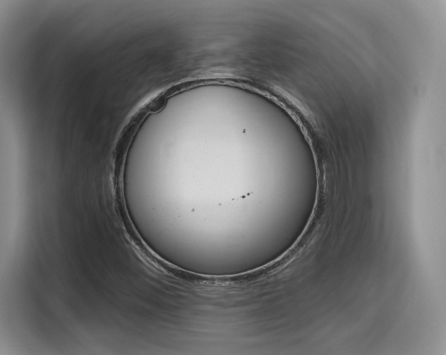 X0000115711452200911191240