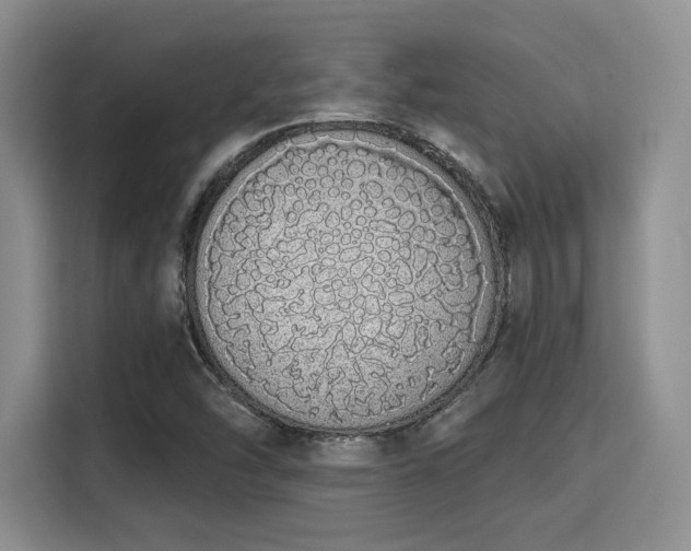 X0000115711454200911191240