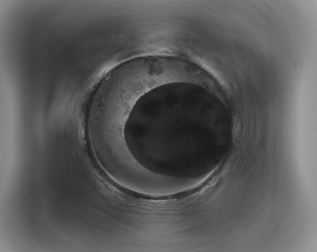 X0000115711455200911191240