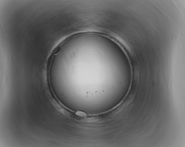 X0000115711460200911191240