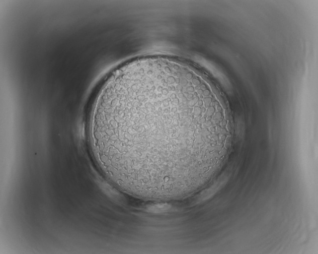 X0000115711462200911191240