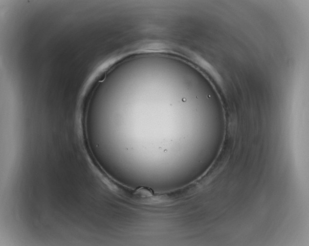 X0000115711464200911191240