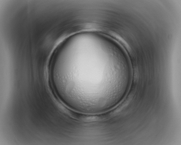 X0000115711467200911191240