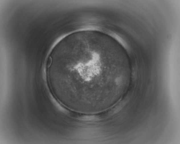 X0000115711468200911191240