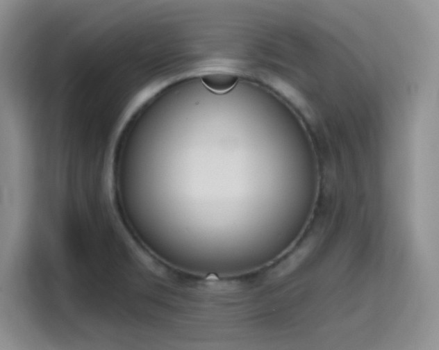 X0000115711469200911191240