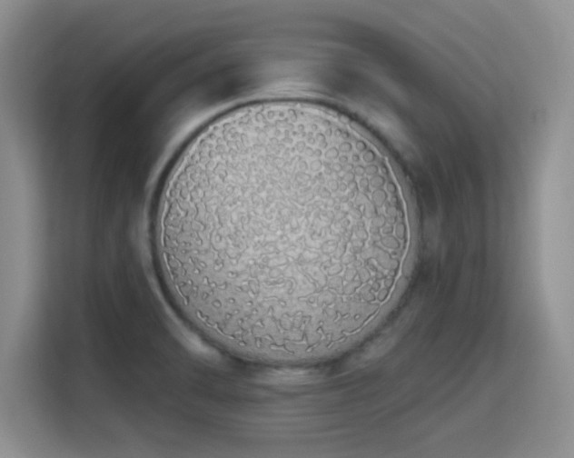 X0000115711470200911191239