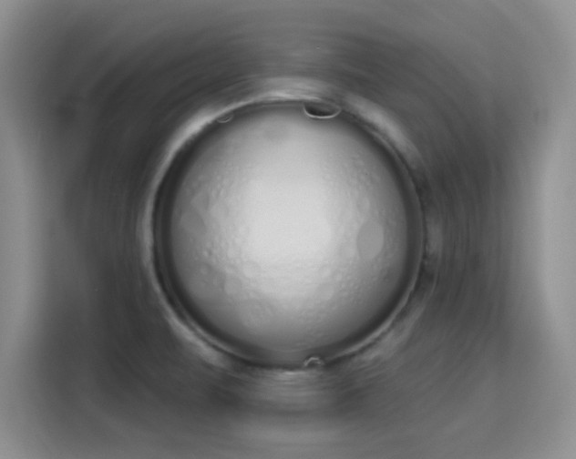 X0000115711471200911191239