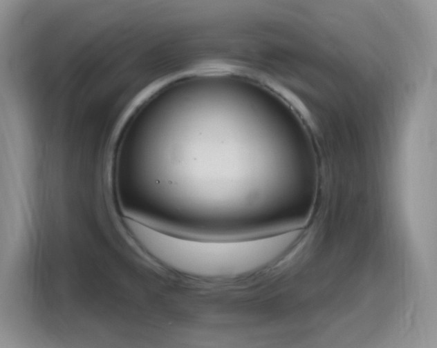 X0000115711477200911191239