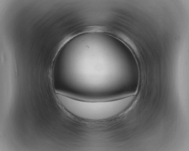 X0000115711481200911191239