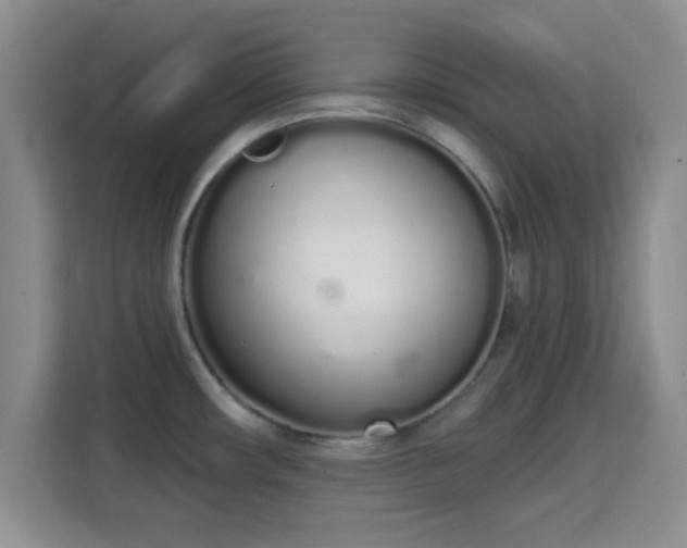 X0000115711482200911191239