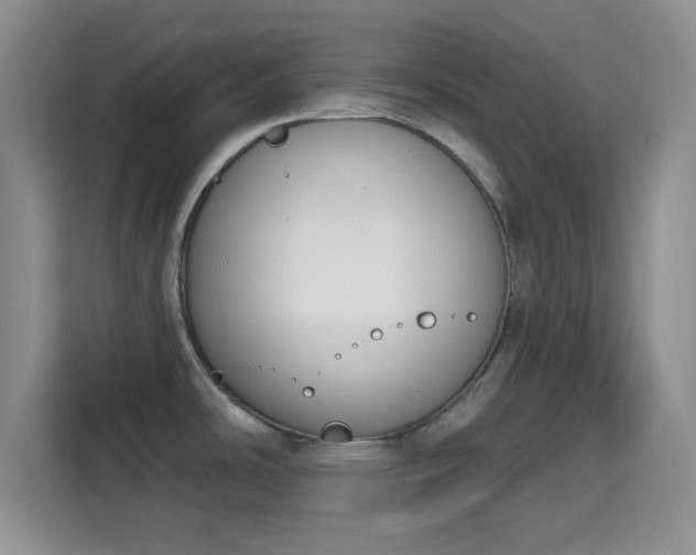 X0000115711486200911191239