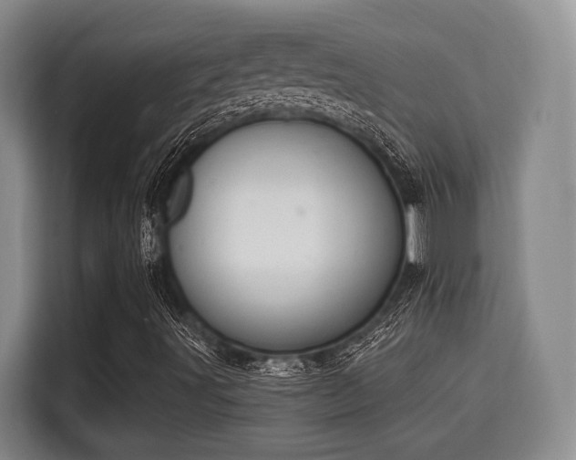 X0000115711491200911191239